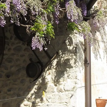 Farm stay Corte Canale Virgilio Volta Mantovana