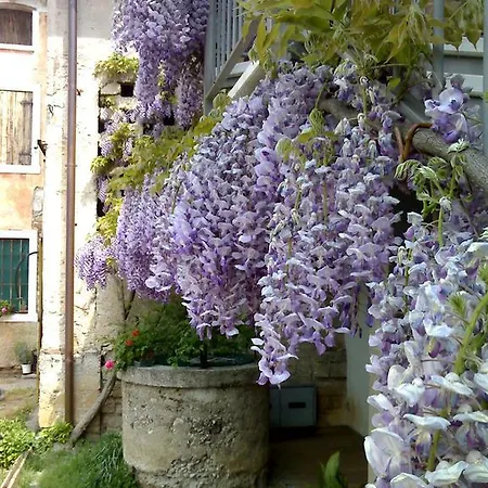 Alloggio per agriturismo Corte Canale Virgilio *